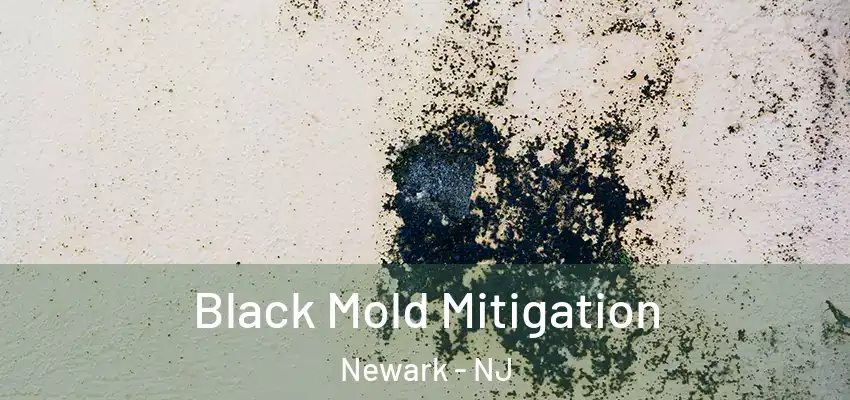 Black Mold Mitigation Newark - NJ
