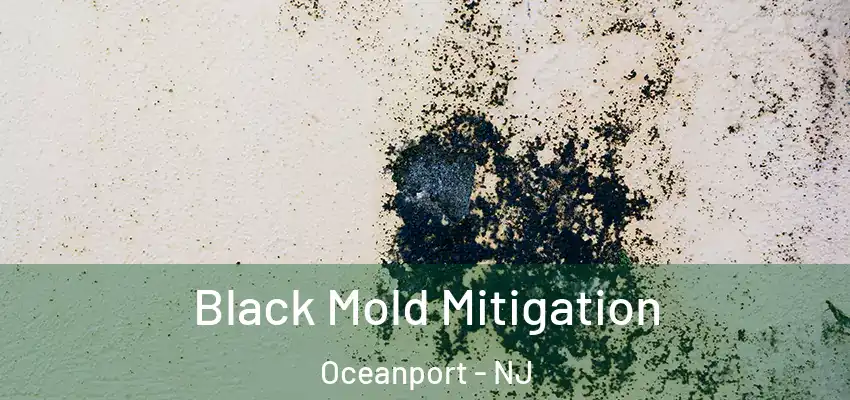  Black Mold Mitigation Oceanport - NJ