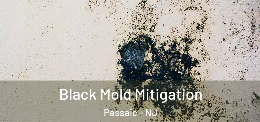 Black Mold Mitigation Passaic - NJ