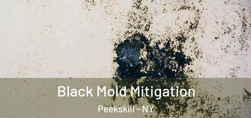 Black Mold Mitigation Peekskill - NY