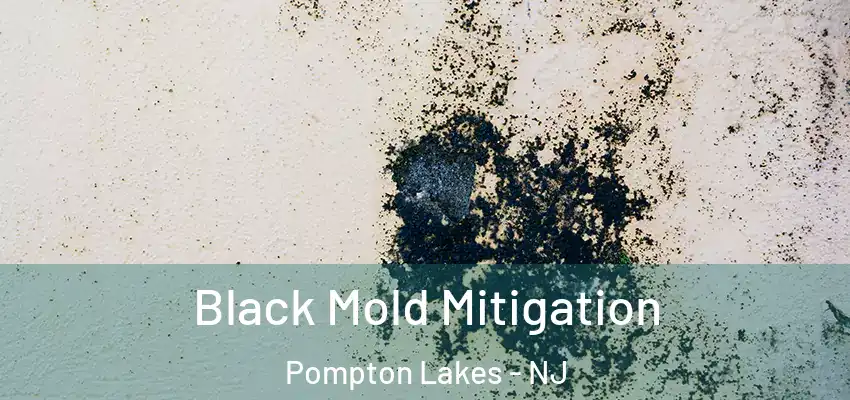 Black Mold Mitigation Pompton Lakes - NJ
