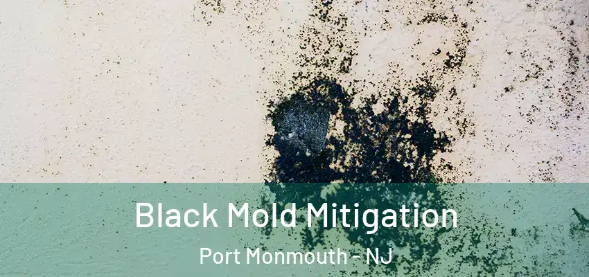 Black Mold Mitigation Port Monmouth - NJ