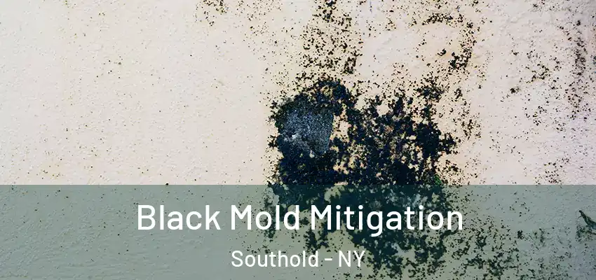  Black Mold Mitigation Southold - NY