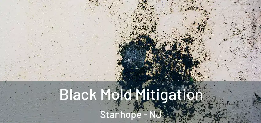Black Mold Mitigation Stanhope - NJ