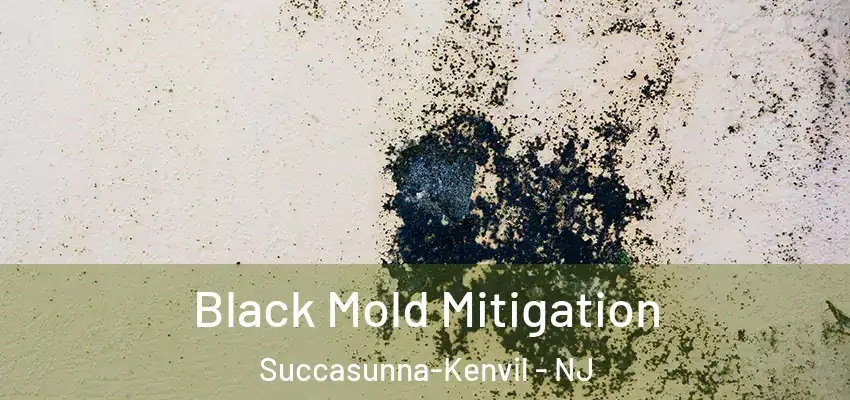  Black Mold Mitigation Succasunna-Kenvil - NJ