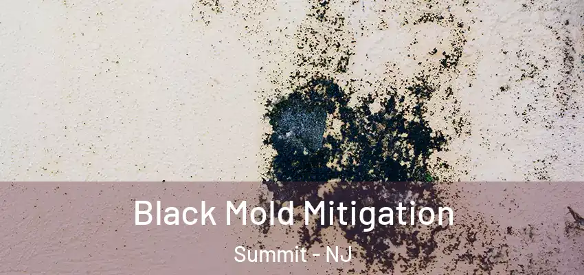 Black Mold Mitigation Summit - NJ