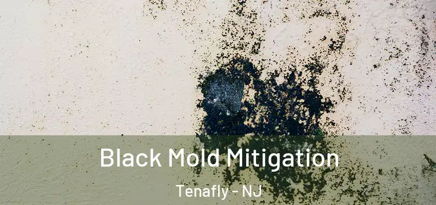 Black Mold Mitigation Tenafly - NJ