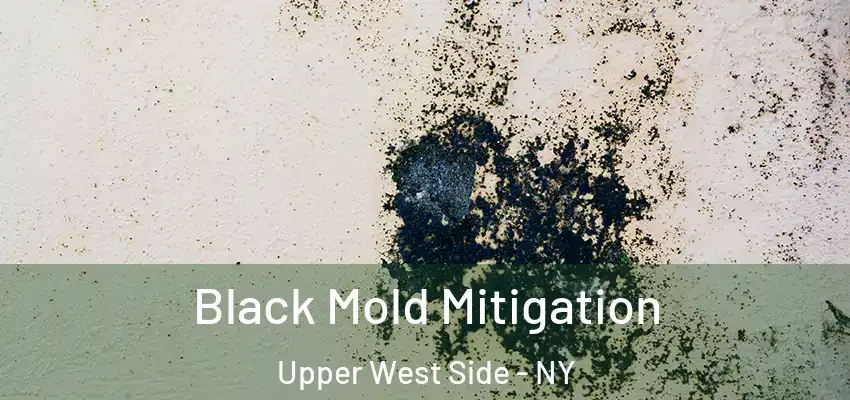 Black Mold Mitigation Upper West Side - NY