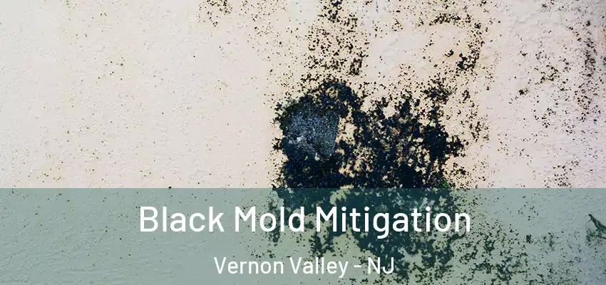 Black Mold Mitigation Vernon Valley - NJ