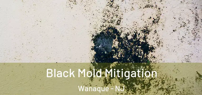 Black Mold Mitigation Wanaque - NJ