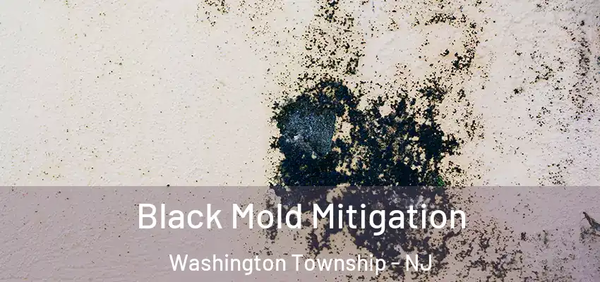 Black Mold Mitigation Washington Township - NJ