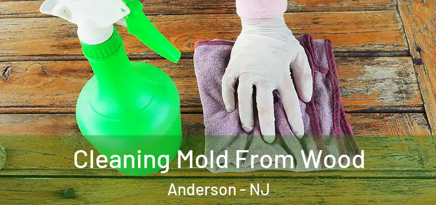 Cleaning Mold From Wood Anderson - NJ