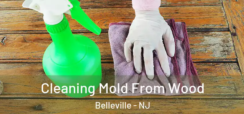 Cleaning Mold From Wood Belleville - NJ
