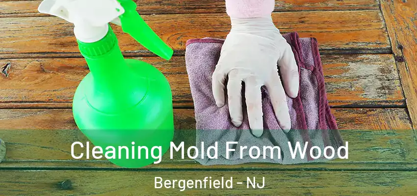  Cleaning Mold From Wood Bergenfield - NJ