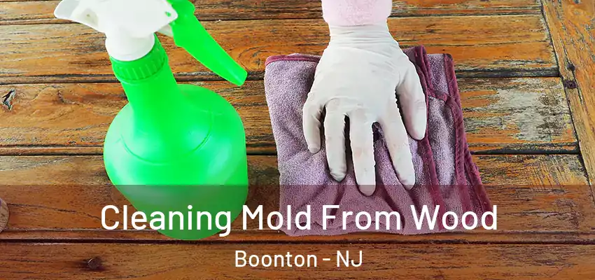  Cleaning Mold From Wood Boonton - NJ