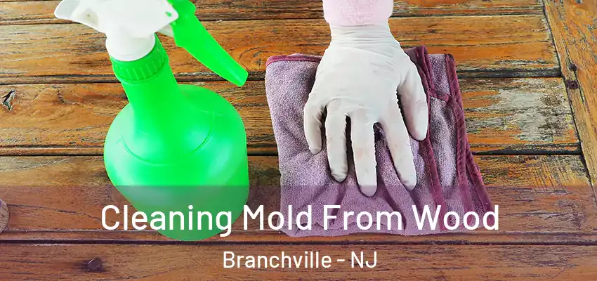  Cleaning Mold From Wood Branchville - NJ