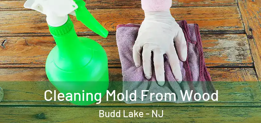  Cleaning Mold From Wood Budd Lake - NJ