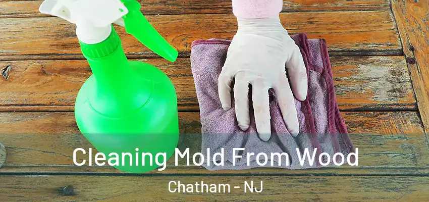 Cleaning Mold From Wood Chatham - NJ