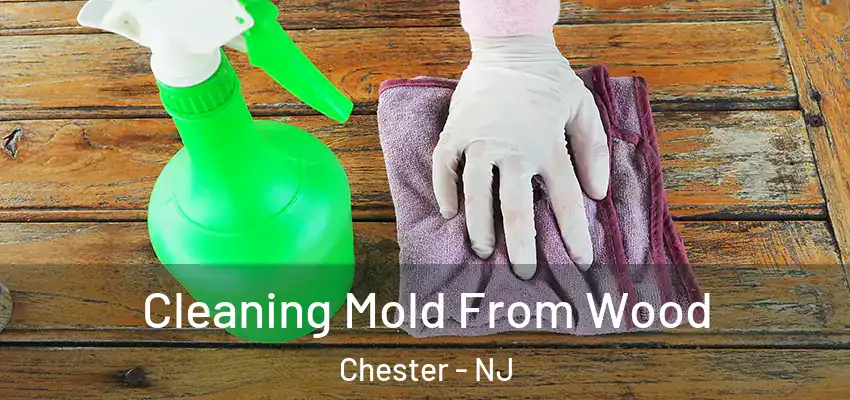 Cleaning Mold From Wood Chester - NJ