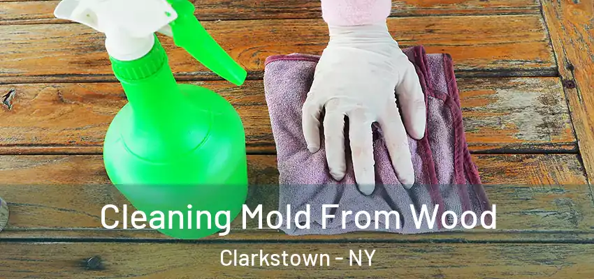  Cleaning Mold From Wood Clarkstown - NY