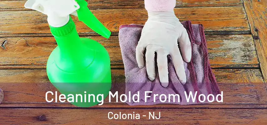 Cleaning Mold From Wood Colonia - NJ