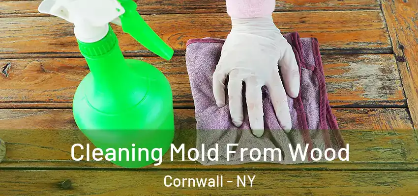 Cleaning Mold From Wood Cornwall - NY