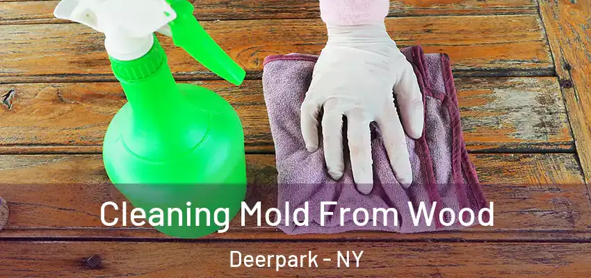 Cleaning Mold From Wood Deerpark - NY
