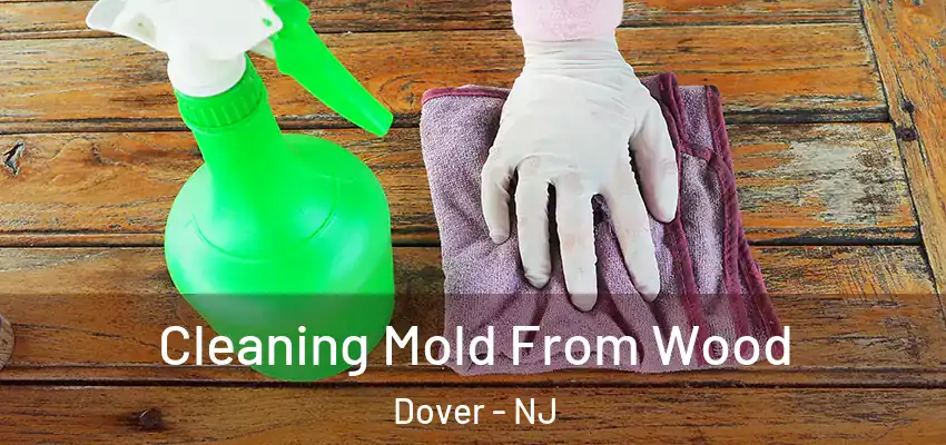  Cleaning Mold From Wood Dover - NJ