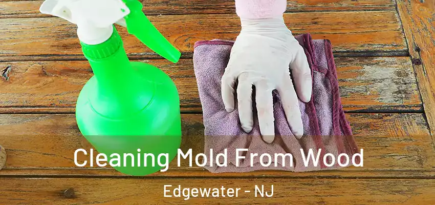  Cleaning Mold From Wood Edgewater - NJ