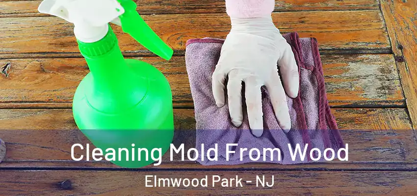  Cleaning Mold From Wood Elmwood Park - NJ