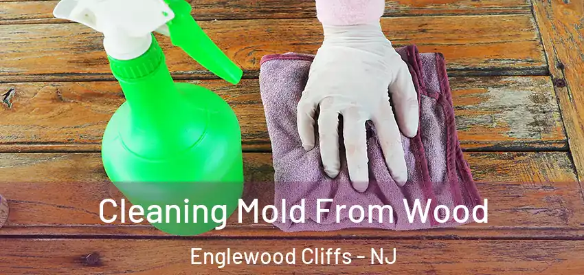  Cleaning Mold From Wood Englewood Cliffs - NJ