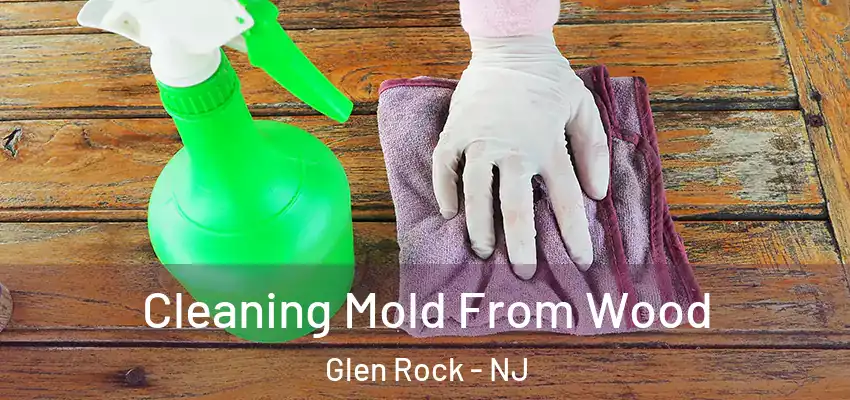 Cleaning Mold From Wood Glen Rock - NJ