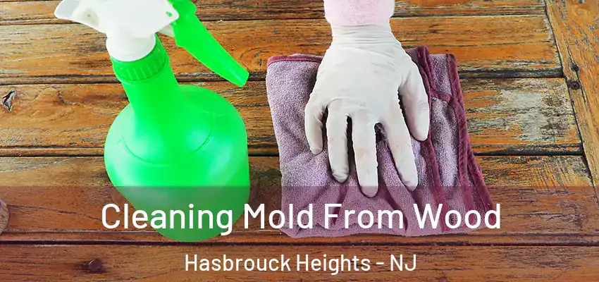 Cleaning Mold From Wood Hasbrouck Heights - NJ