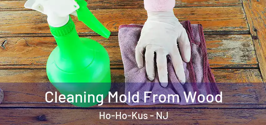 Cleaning Mold From Wood Ho-Ho-Kus - NJ