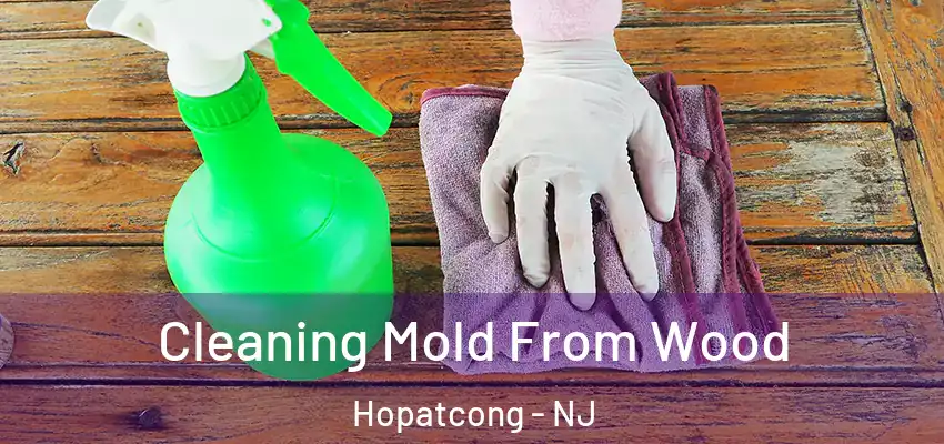 Cleaning Mold From Wood Hopatcong - NJ