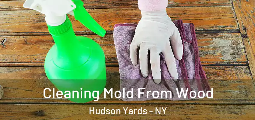 Cleaning Mold From Wood Hudson Yards - NY