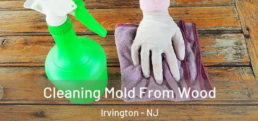  Cleaning Mold From Wood Irvington - NJ