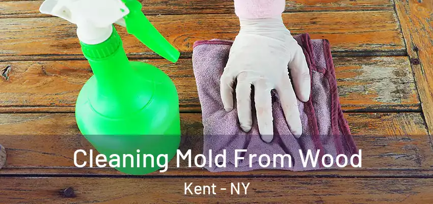  Cleaning Mold From Wood Kent - NY