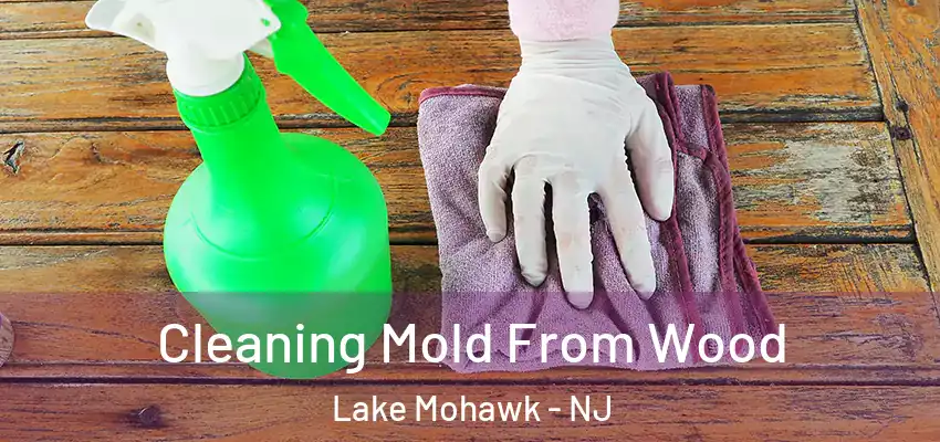 Cleaning Mold From Wood Lake Mohawk - NJ