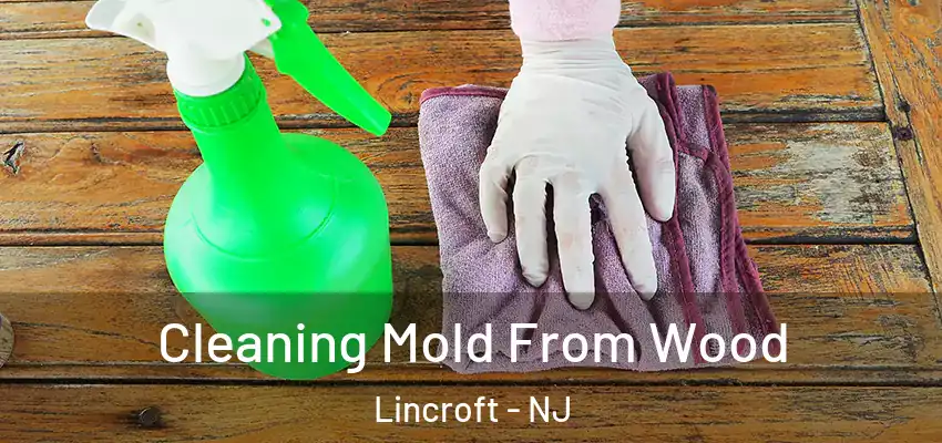 Cleaning Mold From Wood Lincroft - NJ