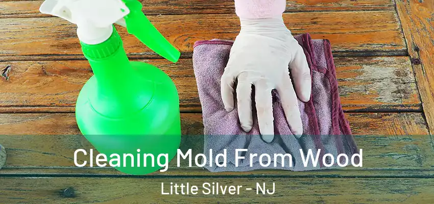 Cleaning Mold From Wood Little Silver - NJ