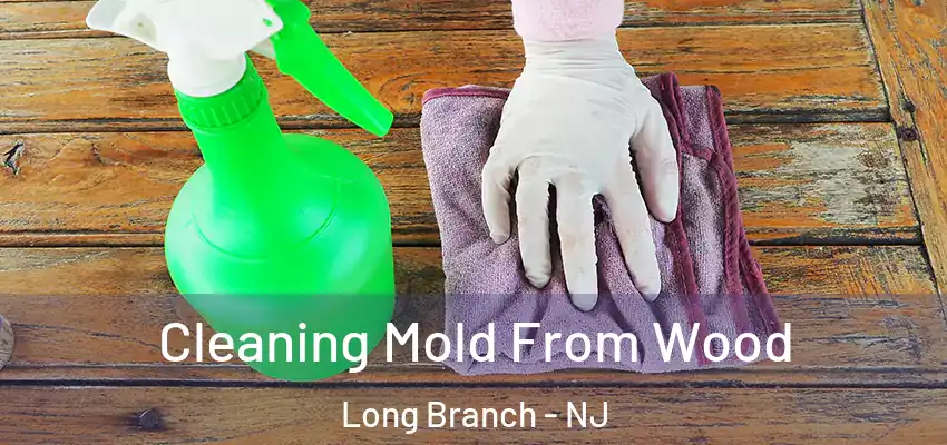 Cleaning Mold From Wood Long Branch - NJ