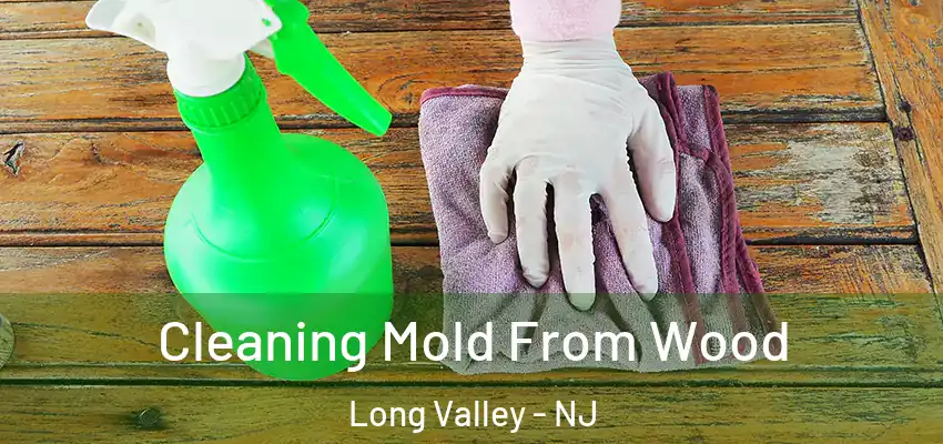 Cleaning Mold From Wood Long Valley - NJ