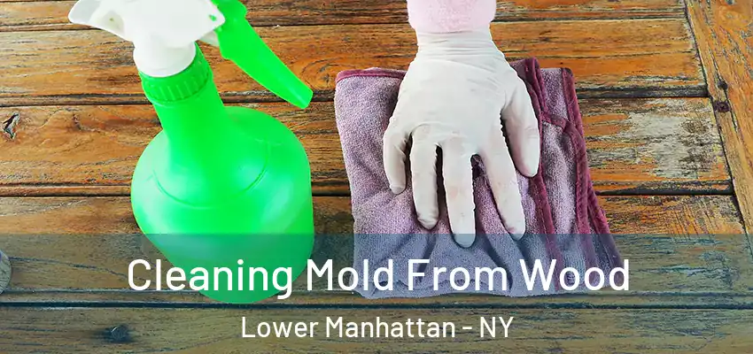 Cleaning Mold From Wood Lower Manhattan - NY