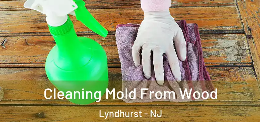 Cleaning Mold From Wood Lyndhurst - NJ