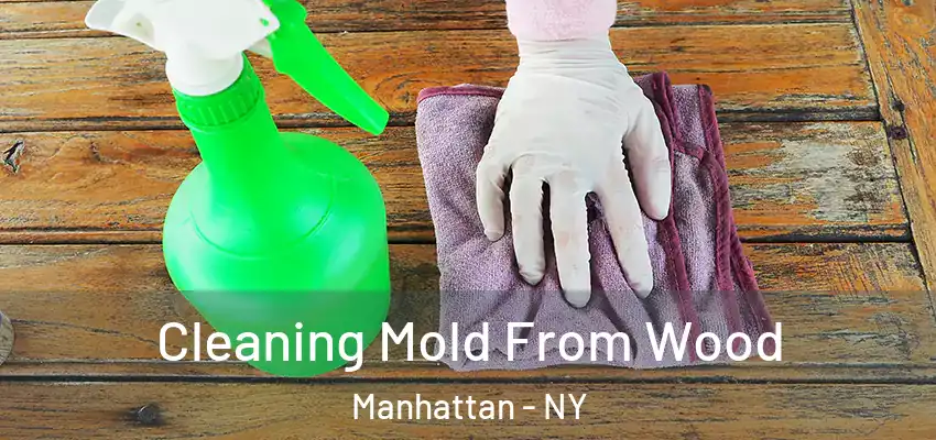 Cleaning Mold From Wood Manhattan - NY