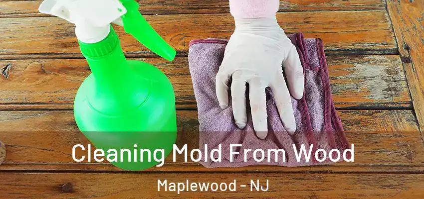 Cleaning Mold From Wood Maplewood - NJ