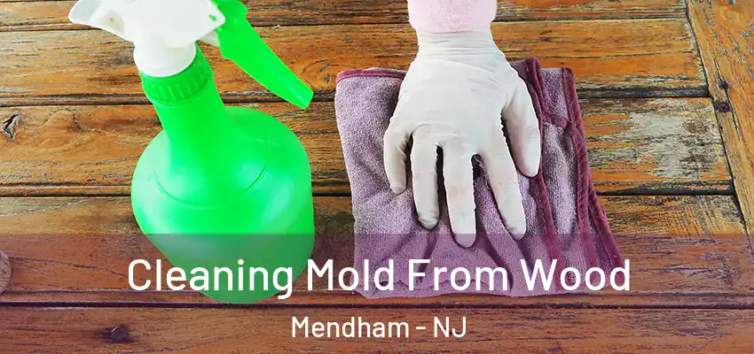 Cleaning Mold From Wood Mendham - NJ