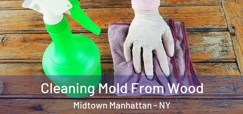 Cleaning Mold From Wood Midtown Manhattan - NY