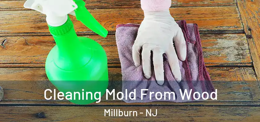  Cleaning Mold From Wood Millburn - NJ